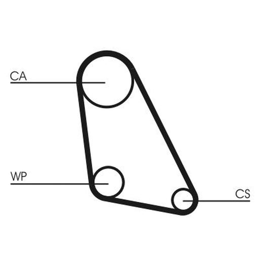 Continental CTAM Timing Belt Cambelt 107 Teeth CT534