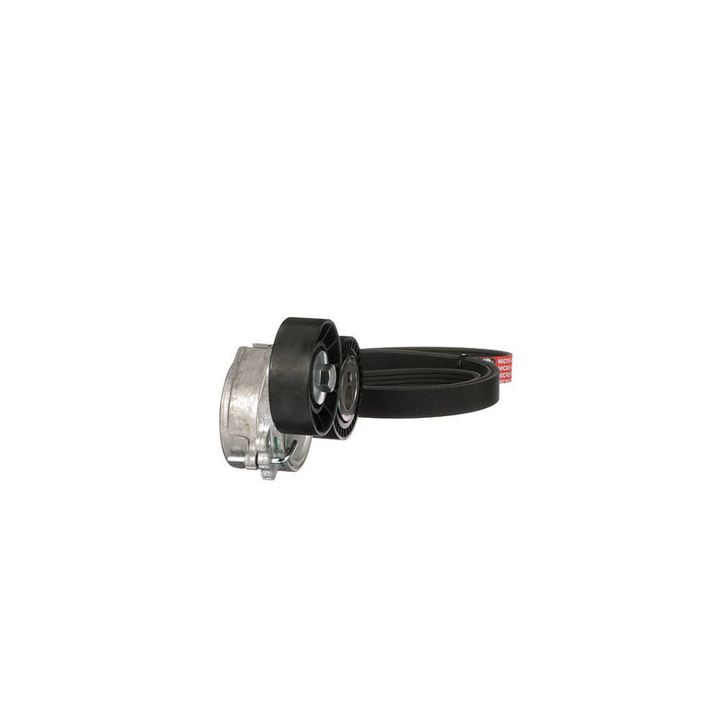 Gates K026PK1750 V-ribbed Belt Set