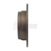 Fahren 2 x Solid Rear Brake Discs FBD6117-x2