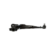 Delphi Control/Trailing Arm Lower TC813
