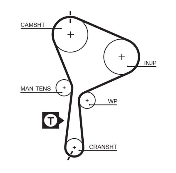 Gates Timing Belt Cambelt Teeth 5552XS