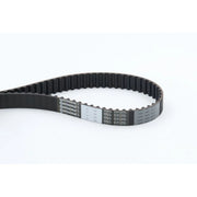 Continental CTAM Timing Belt Cambelt 124 Teeth CT773