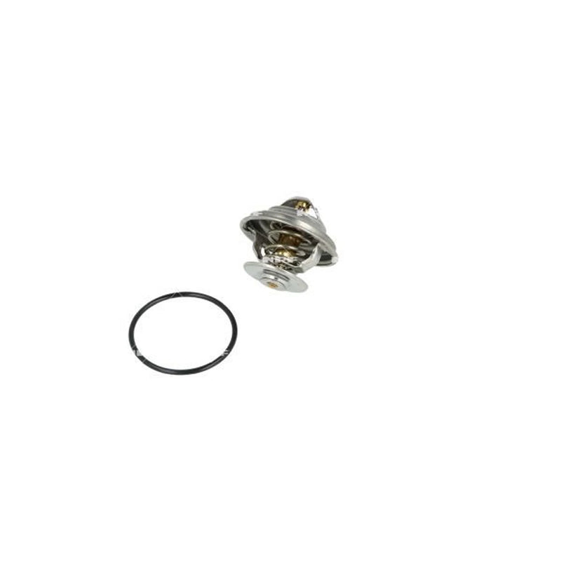 NRF Thermostat,Coolant 725184