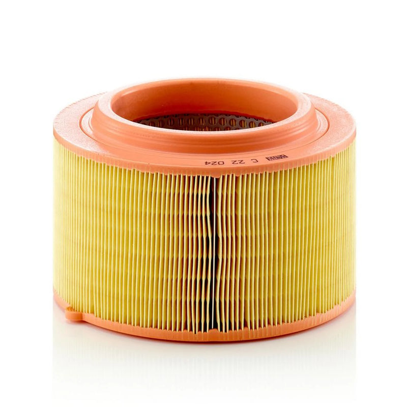 MANN-FILTER Engine Air Filter C 22 024