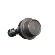 Delphi Ball Joint Lower TC3677