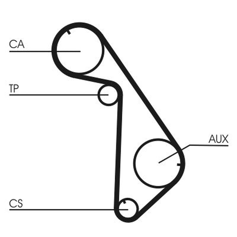 Continental CTAM Timing Belt Cambelt 123 Teeth CT825