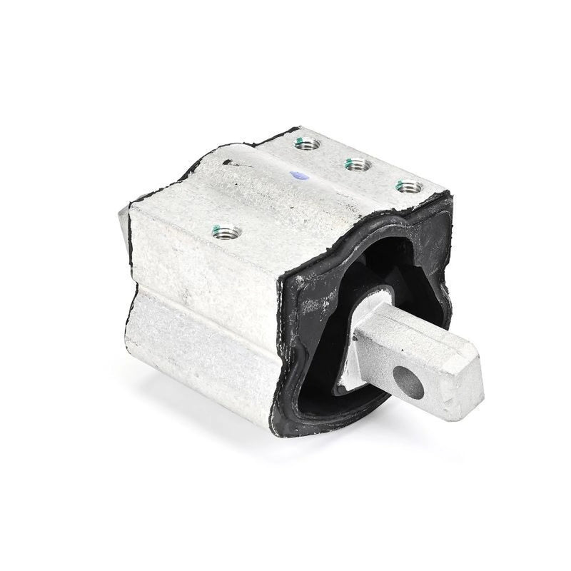 Delphi Engine Mount Mounting Right TEM259