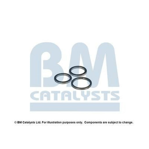 BM Catalysts Fitting Kit FK90130A FK90130A