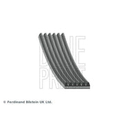 Blue Print Multi V-Ribbed Drive Belt AD06R2355