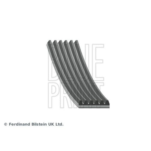 Blue Print Multi V-Ribbed Drive Belt AD06R1042