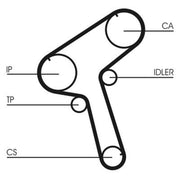 Continental CTAM Timing Belt Cambelt 141 Teeth CT843
