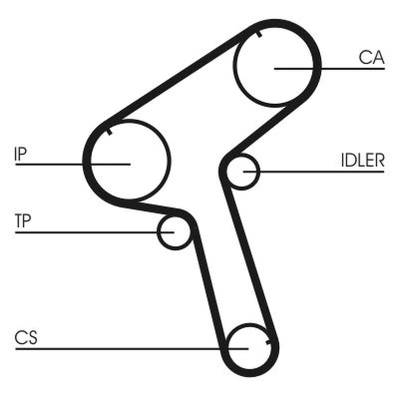 Continental CTAM Timing Belt Cambelt 141 Teeth CT843