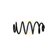 NAPA Rear Suspension Coil Spring NCS1872