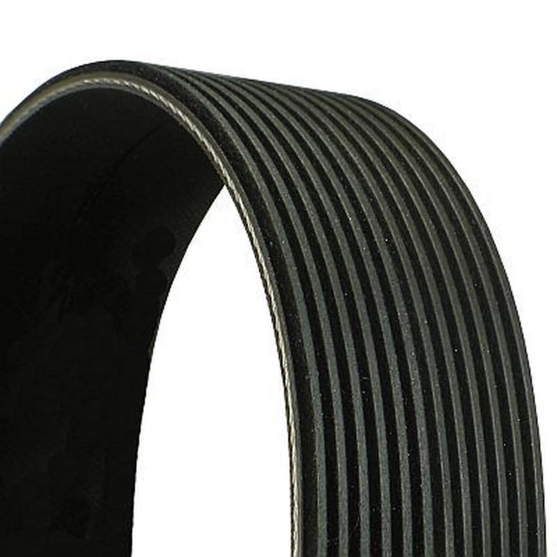 Continental CTAM Multi V-Ribbed Drive Belt 12PK1815