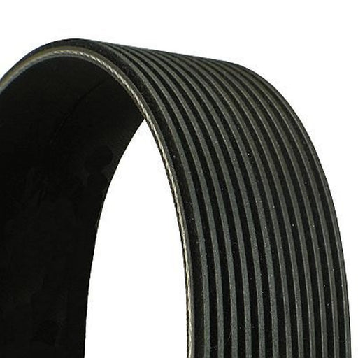 Continental CTAM Multi V-Ribbed Drive Belt 12PK1815