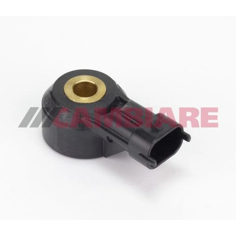 Cambiare Engine Knock Sensor VE369085