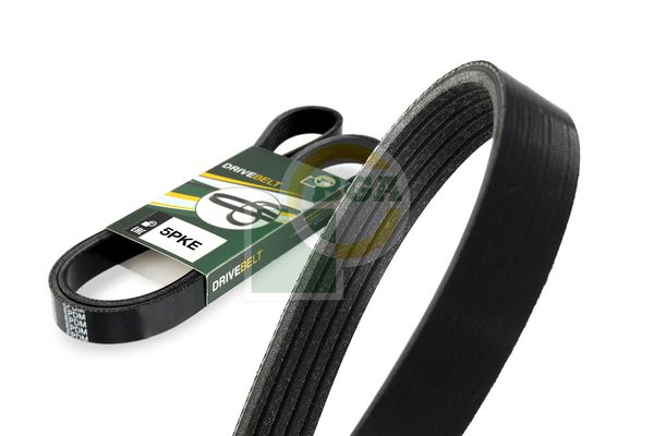 Bga Multi V-Ribbed Drive Belt 5PK595E