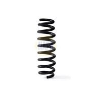 NAPA Rear Suspension Coil Spring NCS2010