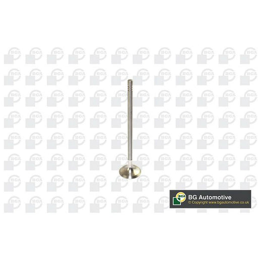 BGA Engine Exhaust Valve 25mm Head V591702