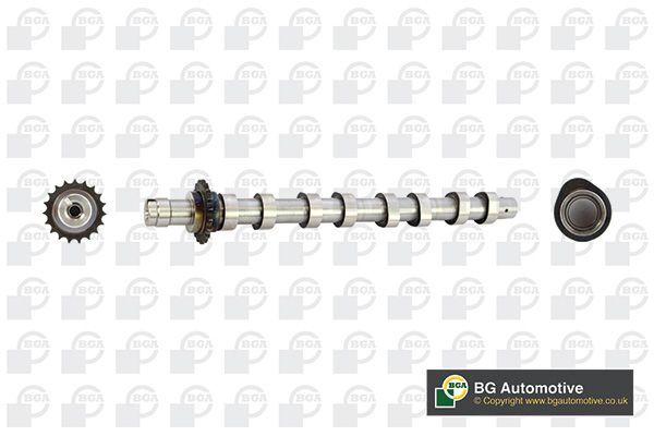 Bga Engine Camshaft Lobes CS5531