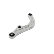 Delphi Control/Trailing Arm Rear TC4828