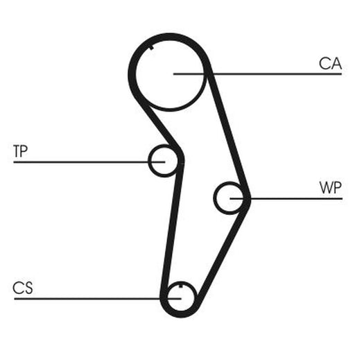 Continental CTAM Timing Belt Cambelt 138 Teeth CT908