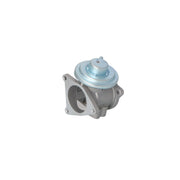NRF Exhaust Gas Recirculation Valve 48321