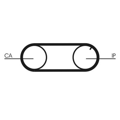 Continental CTAM Timing Belt Cambelt 75 Teeth CT641