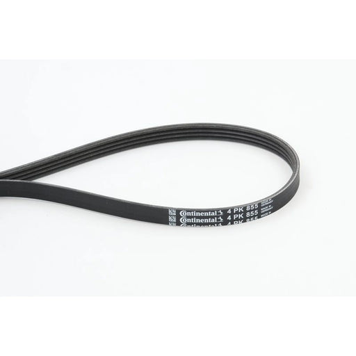 Continental CTAM Multi V-Ribbed Drive Belt 4PK855