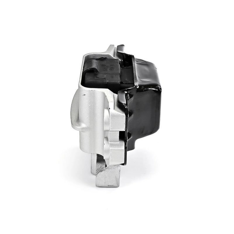 Delphi Engine Mount Mounting Left TEM247