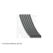 Blue Print Multi V-Ribbed Drive Belt AD06R1206