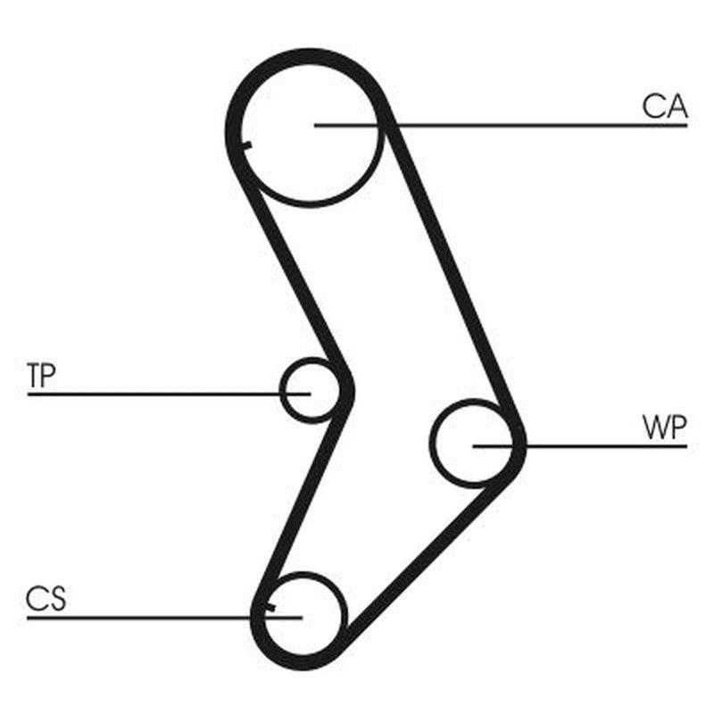 Continental CTAM Timing Belt Cambelt 129 Teeth CT999