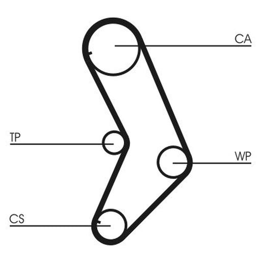 Continental CTAM Timing Belt Cambelt 129 Teeth CT999