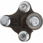 Delphi Ball Joint Lower TC6815