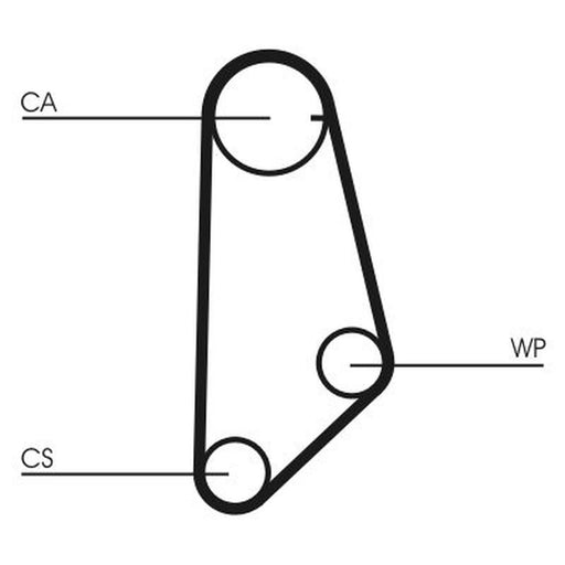 Continental CTAM Timing Belt Cambelt 113 Teeth CT635