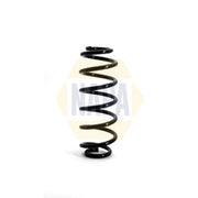 NAPA Rear Suspension Coil Spring NCS1135