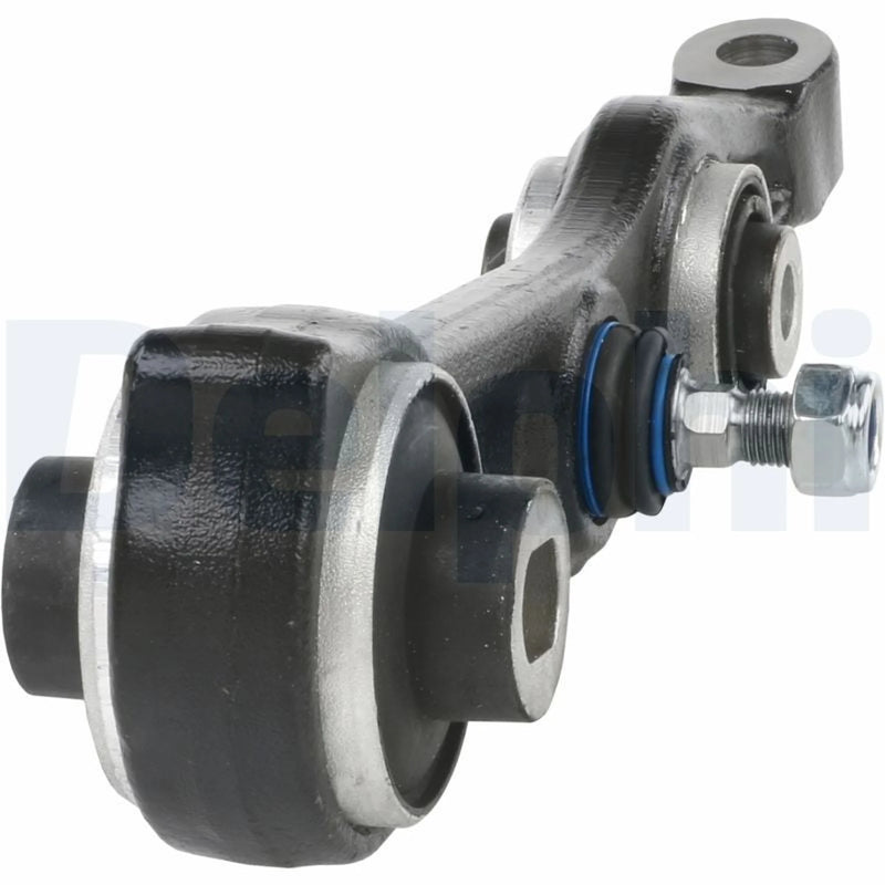 Delphi Control/Trailing Arm Rear TC1383