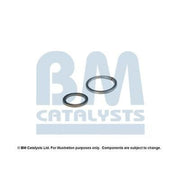 BM Catalysts Fitting Kit FK11579A FK11579A
