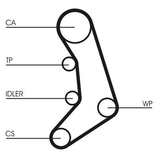 Continental CTAM Timing Belt Cambelt 120 Teeth CT758