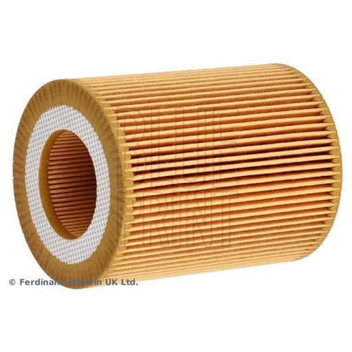 Blue Print Engine Oil Filter ADF122103