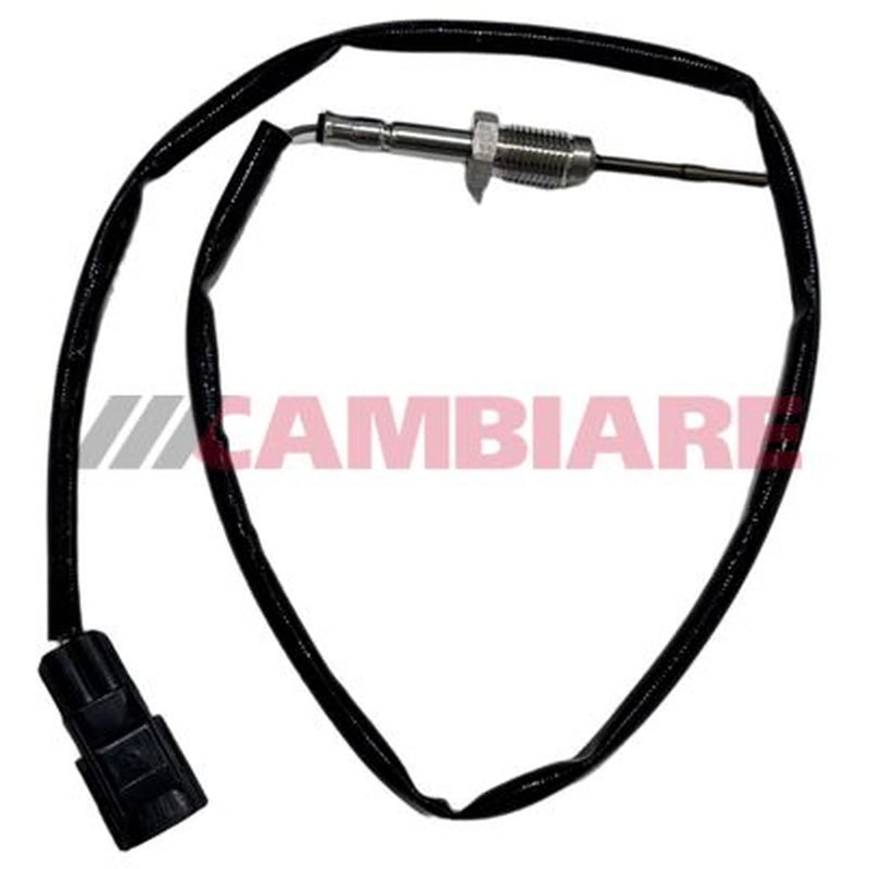Cambiare Exhaust Gas Temperature Sensor before soot parti VE390506