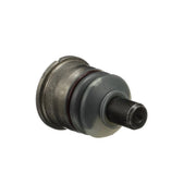 Delphi Ball Joint Lower TC388