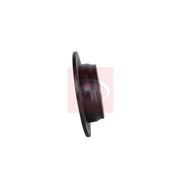 Apec 2 x Solid Rear Brake Discs DSK2672-x2