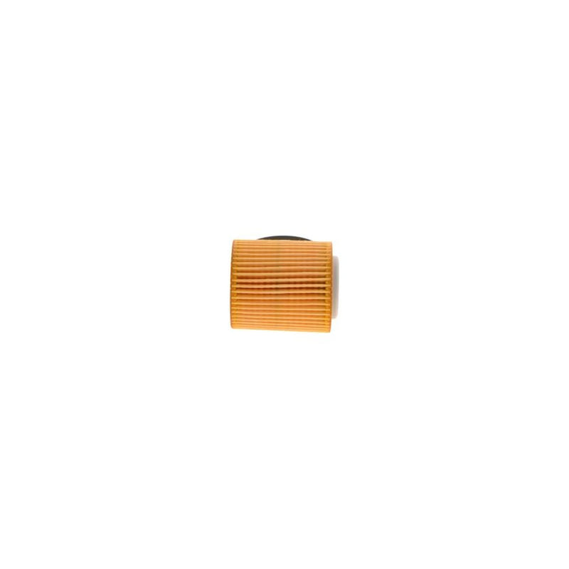 Bosch Engine Oil Filter F 026 407 299
