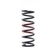 Apec Front Suspension Coil Spring ACS1778