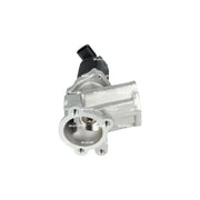 NRF Exhaust Gas Recirculation Valve 48325