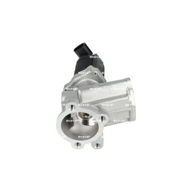 NRF Exhaust Gas Recirculation Valve 48325