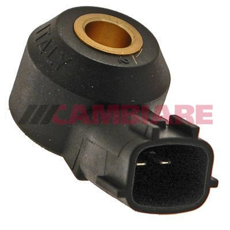 Cambiare Engine Knock Sensor VE369037