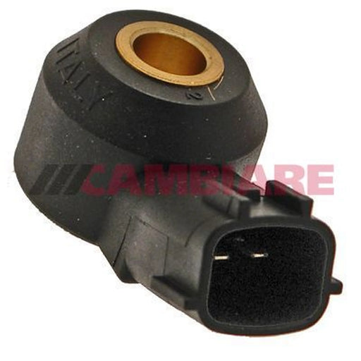 Cambiare Engine Knock Sensor VE369037