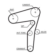 Gates Timing Belt Cambelt 199 Teeth 5623XS
